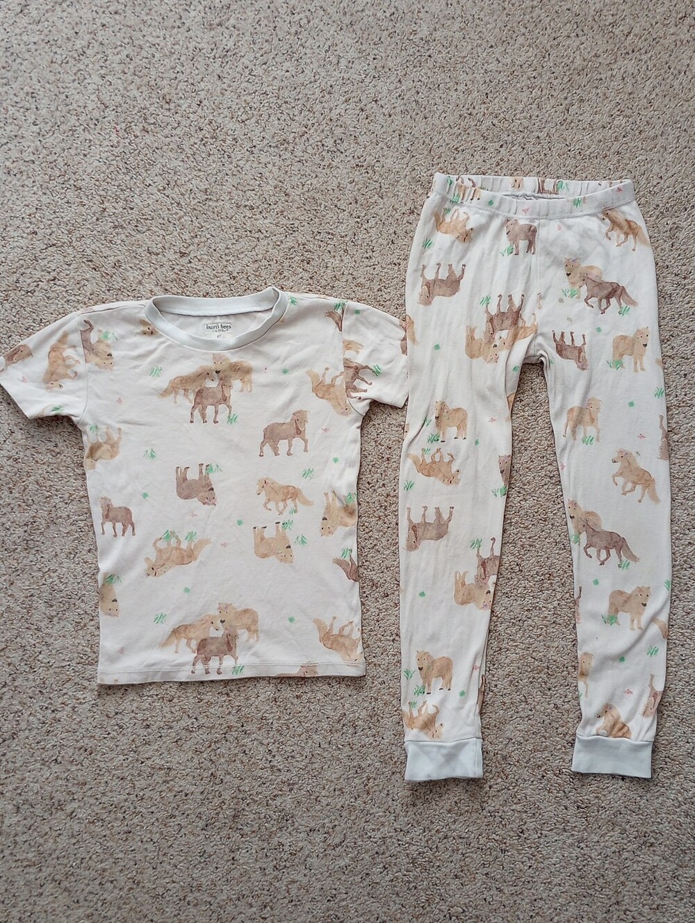 Burt's Bees Kids Pajama Set Shirt And Bottoms Size 6 Horses Cute Country Farm
